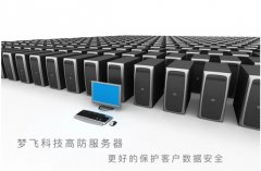 美國高防服務器的優勢